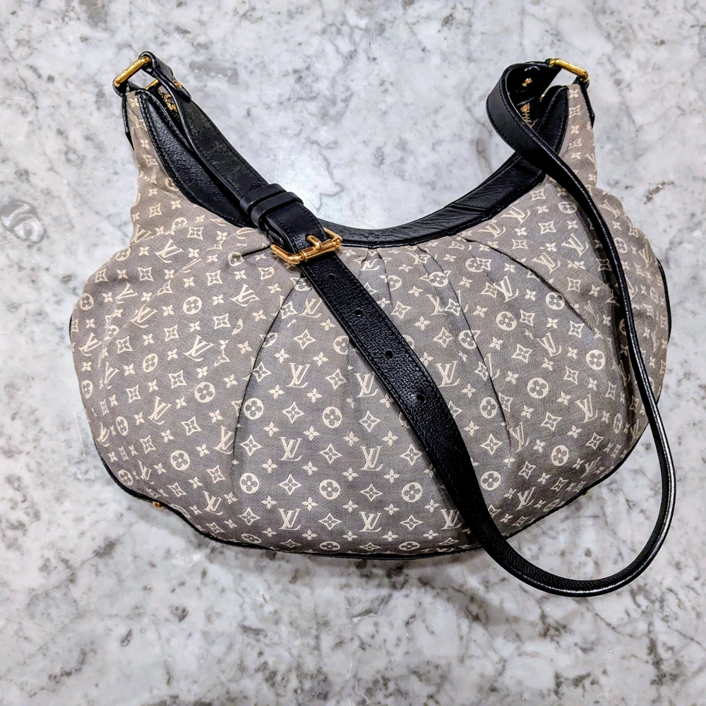 Louis Vuitton Gray and Blue Hobo with Monogram Canvas
